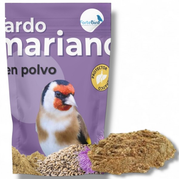 Cardo Mariano | Mejora Hepática y Digestiva para Canarios y Jilgueros