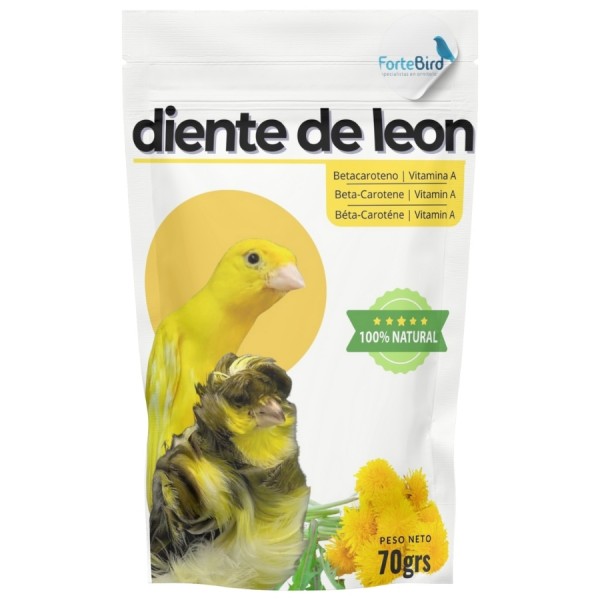 Polvo de Diente de León 70 grs | ForteBird