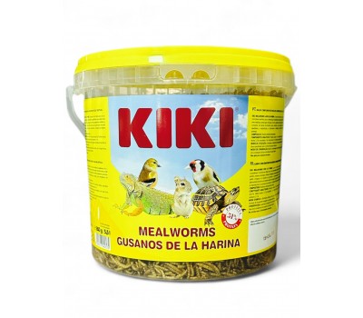 Gusanos de la harina KIKI (Rico en proteínas y vitaminas para sus aves)