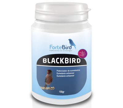 BlackBird | Potenciador de eumelaninas (Oxidación canarios negros)