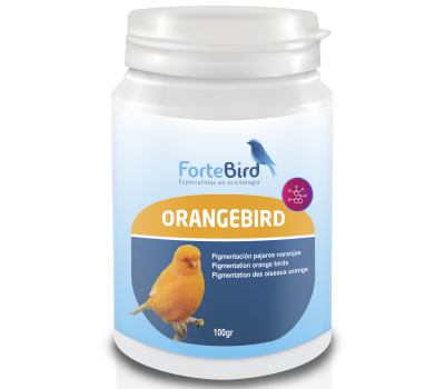 OrangeBird - Para canarios  Norwich y Yorkshire