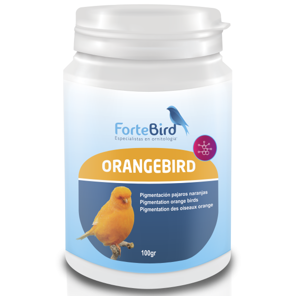 OrangeBird - Para canarios  Norwich y Yorkshire Bird coloring