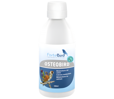 OsteoBird | Metabolismo del calcio