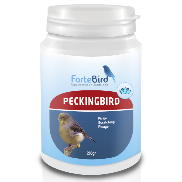 PeckingBird | Picaje ForteBird