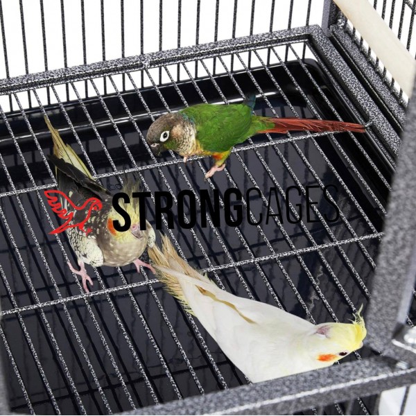 Jaula Expositor ROMA Cages fos parrots